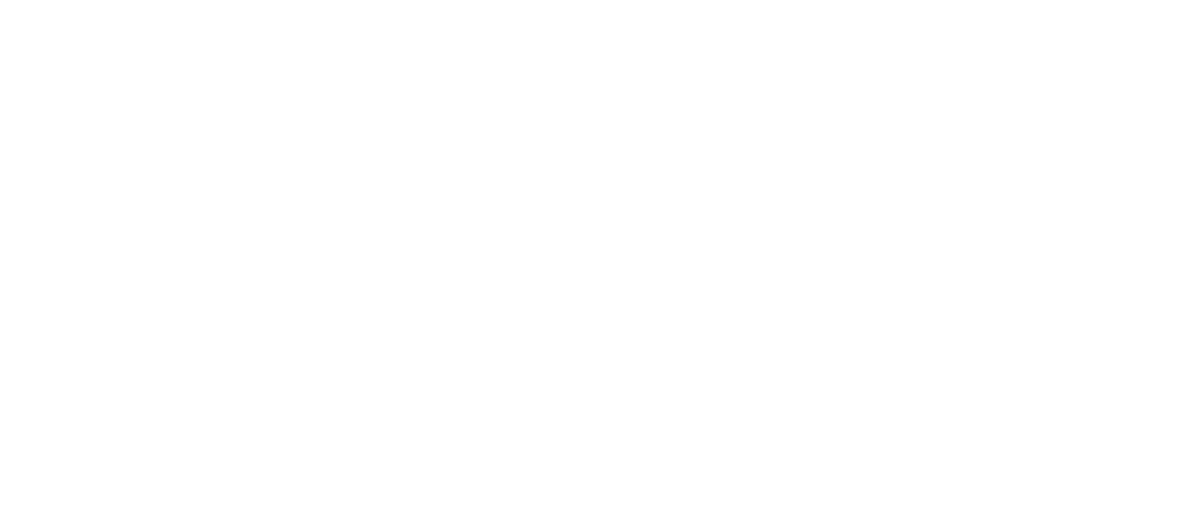 BIRPLAY